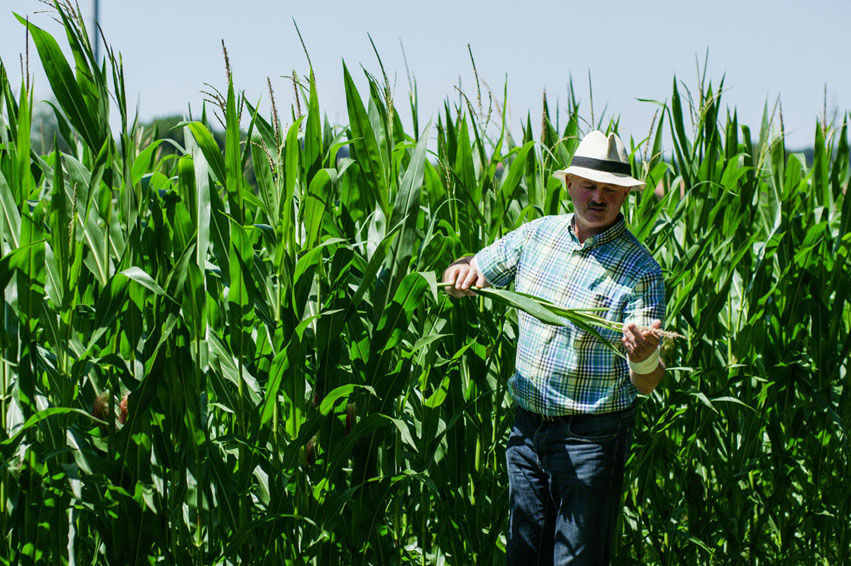 Eigene Landwirtschaft 