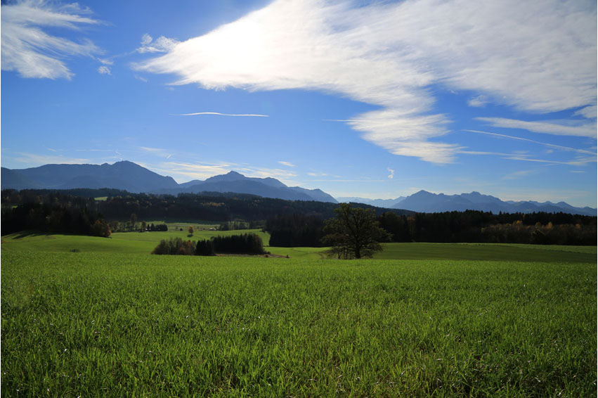 Chiemgau 